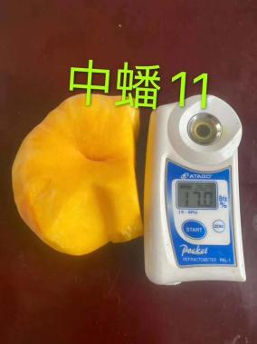 蒙陰篇 巾幗好產(chǎn)品，等您來團購——聚焦散裝及預(yù)包裝食品的優(yōu)質(zhì)銷售